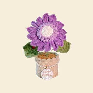 16 Custom Seashell Crochet Sunflower