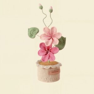 Crochet Double Cosmos