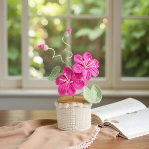 Crochet Double Cosmos