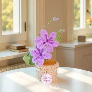 cosmos3 Custom Seashell Crochet Cosmos